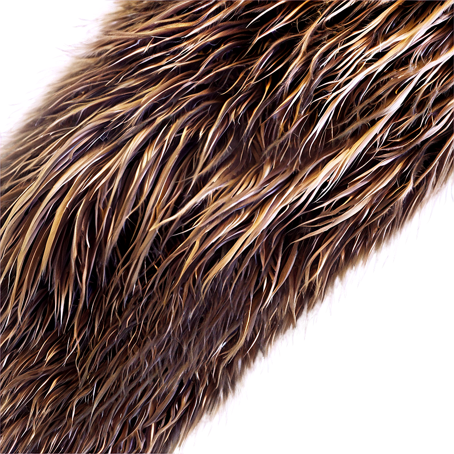 Bear Fur Texture Png Anq66 PNG Image