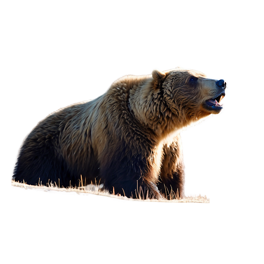 Bear Head On Mountain Png Ojl79 PNG Image