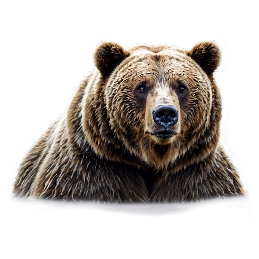 Bear Head On Mountain Png Ssg22 PNG Image