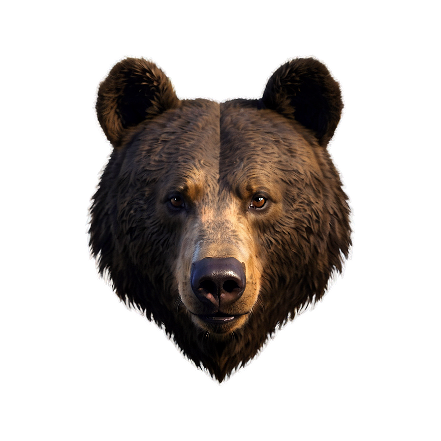 Bear Head Png 06112024 PNG Image