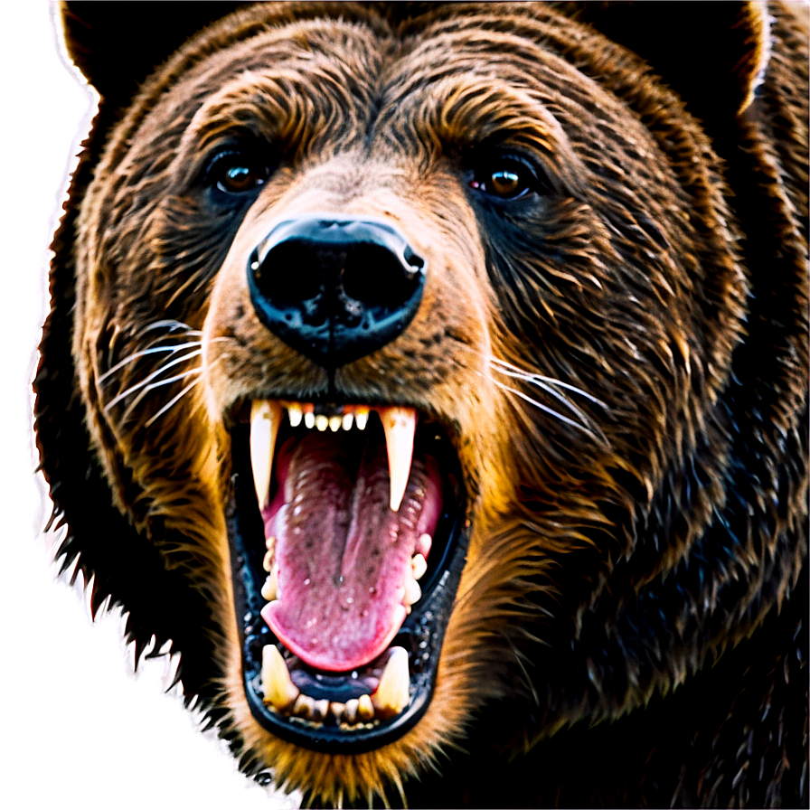 Bear Head Roar Png 06292024 PNG Image