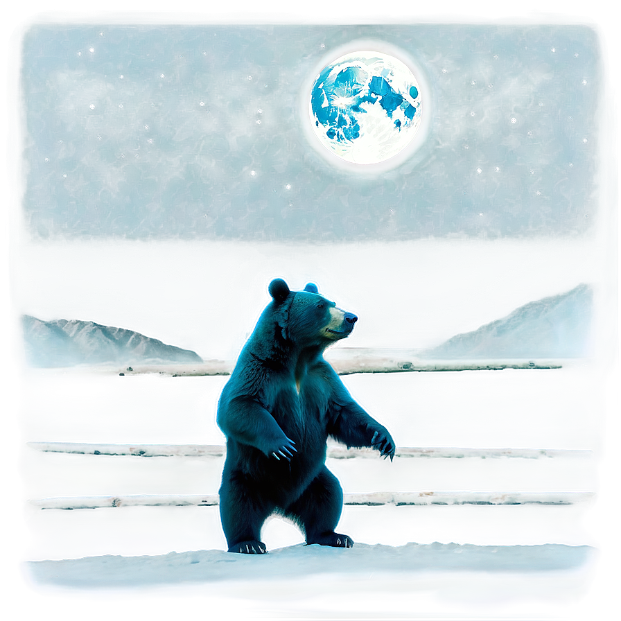 Bear In Moonlight Png Tay30 PNG Image