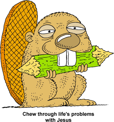 Beaver Chewing Log Cartoon PNG Image