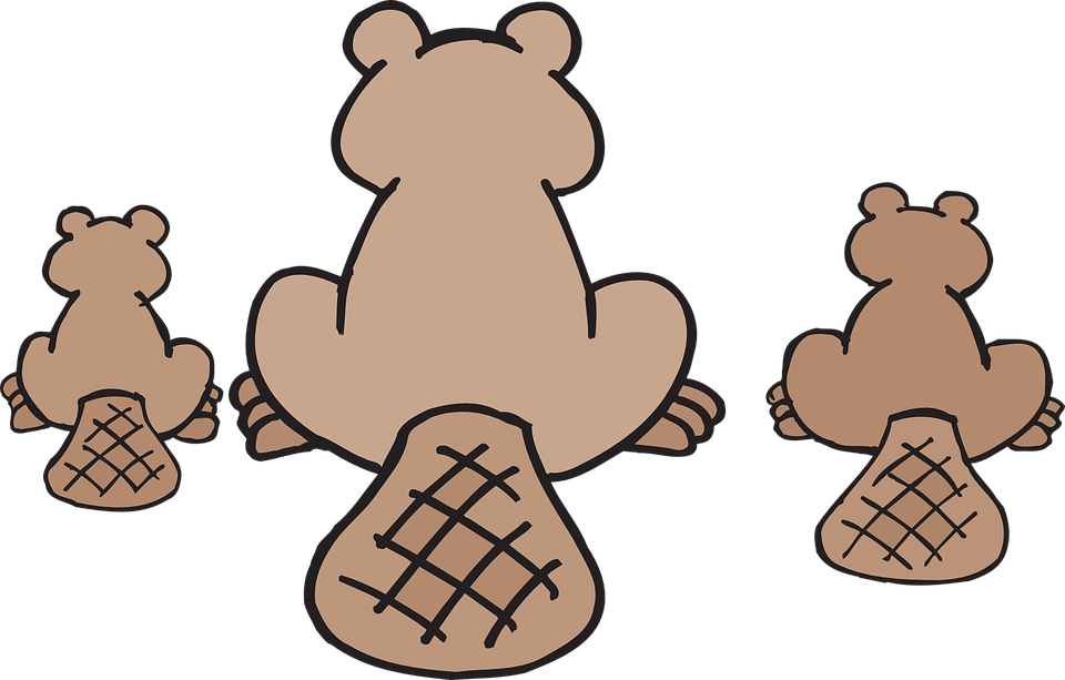 Beaver Family Cartoon PNG Image