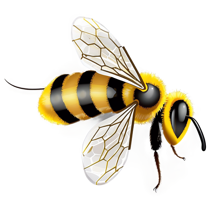 Bee Illustration Png 05232024 PNG Image