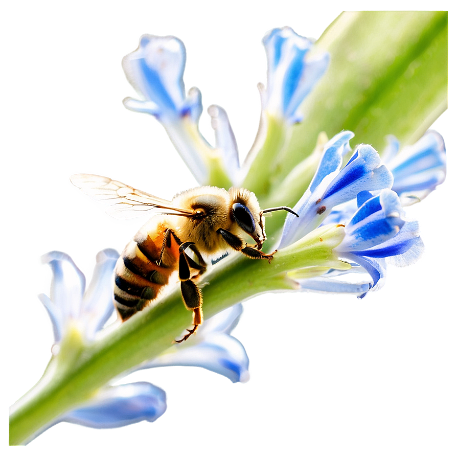 Bee In Nature Png Nag6 PNG Image