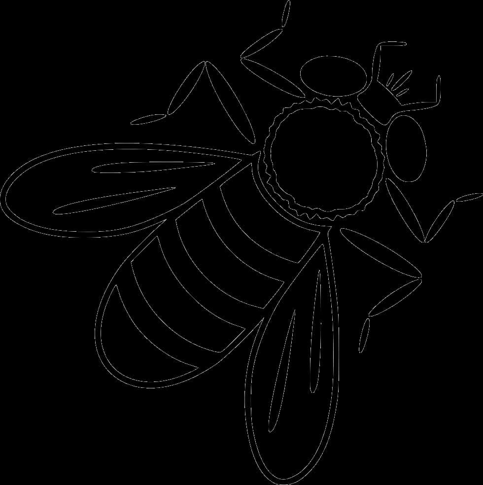 Bee Line Art Illustration PNG Image