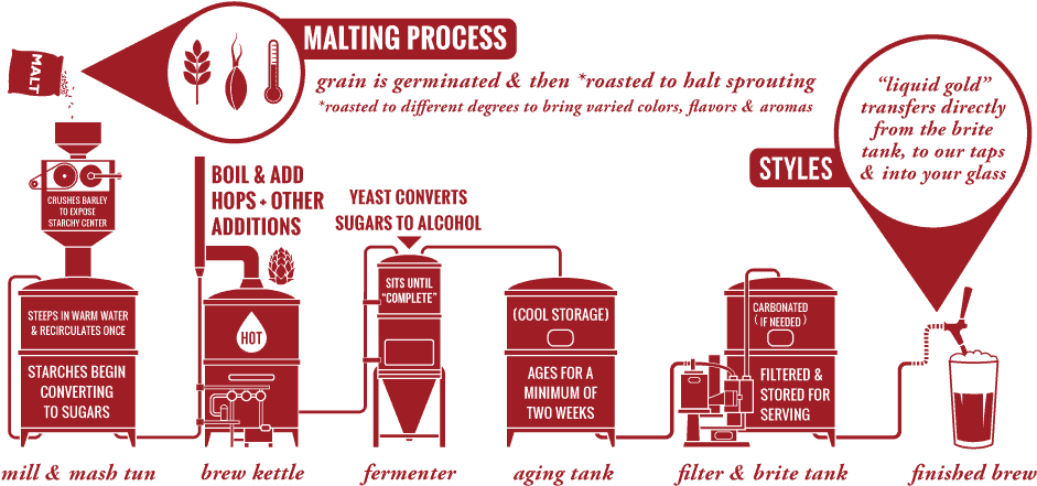 Beer Brewing Process Infographic PNG Image