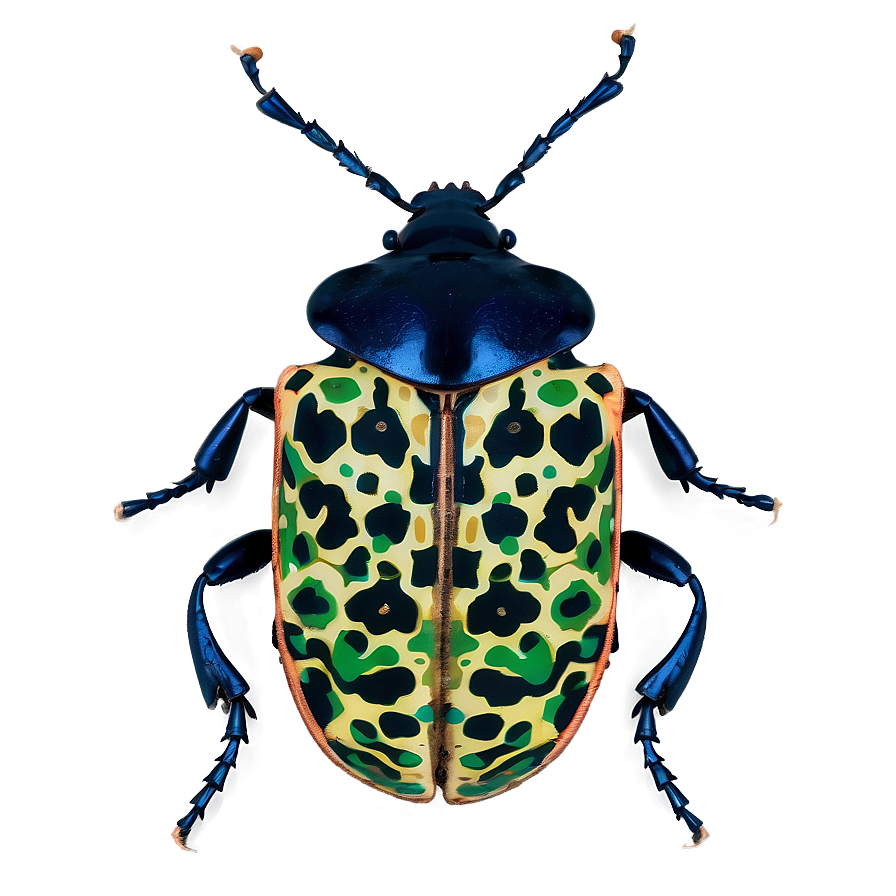 Beetle Camouflage Technique Png Bjl PNG Image