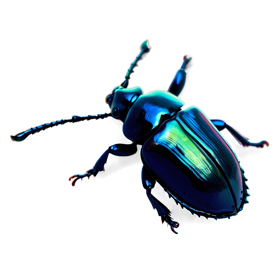 Beetle In Nature Background Png Hee PNG Image