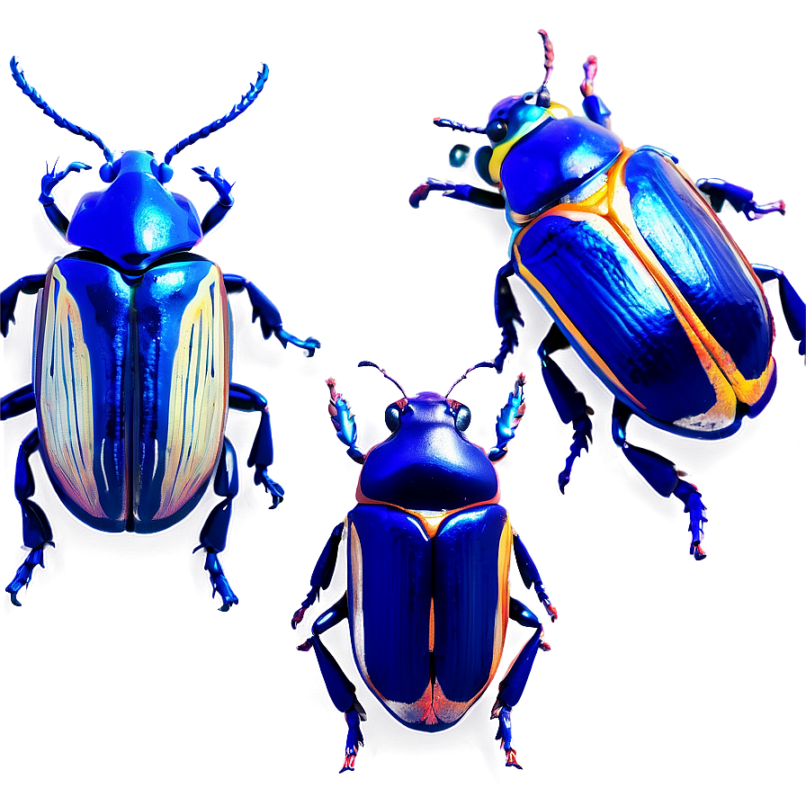 Beetles In Nature Png 06242024 PNG Image