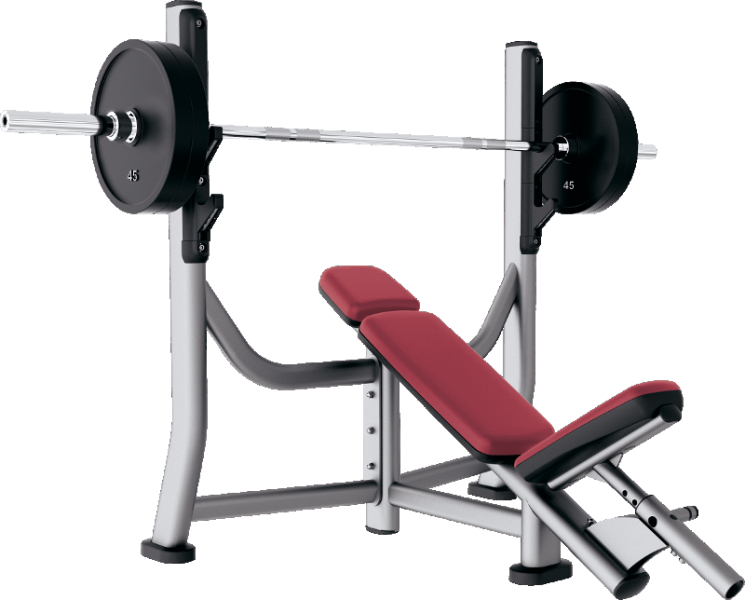 Bench Press Station Professional Gym Equipment PNG Image