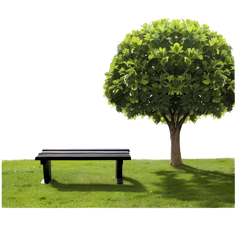 Bench Under Tree Png 05232024 PNG Image