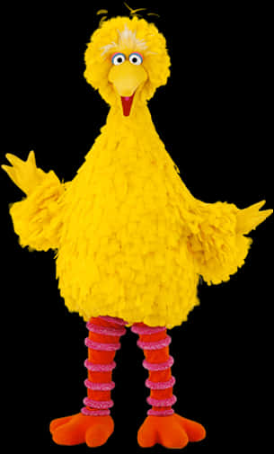 Big Bird Sesame Street Character PNG Image