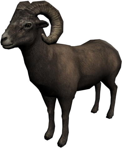 Bighorn Sheep Profile PNG Image