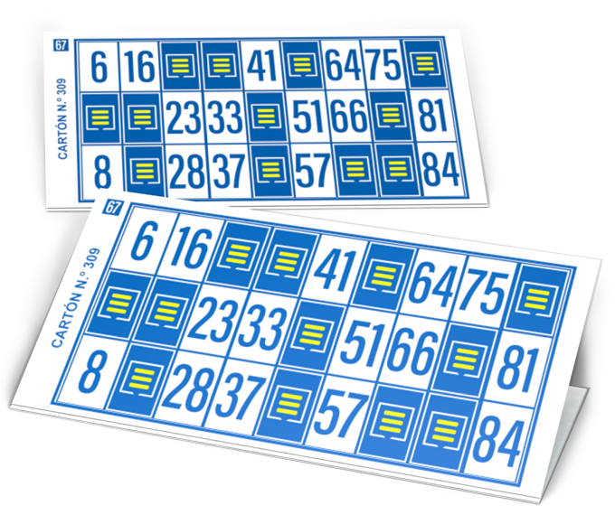 Bingo Cards Double Set PNG Image