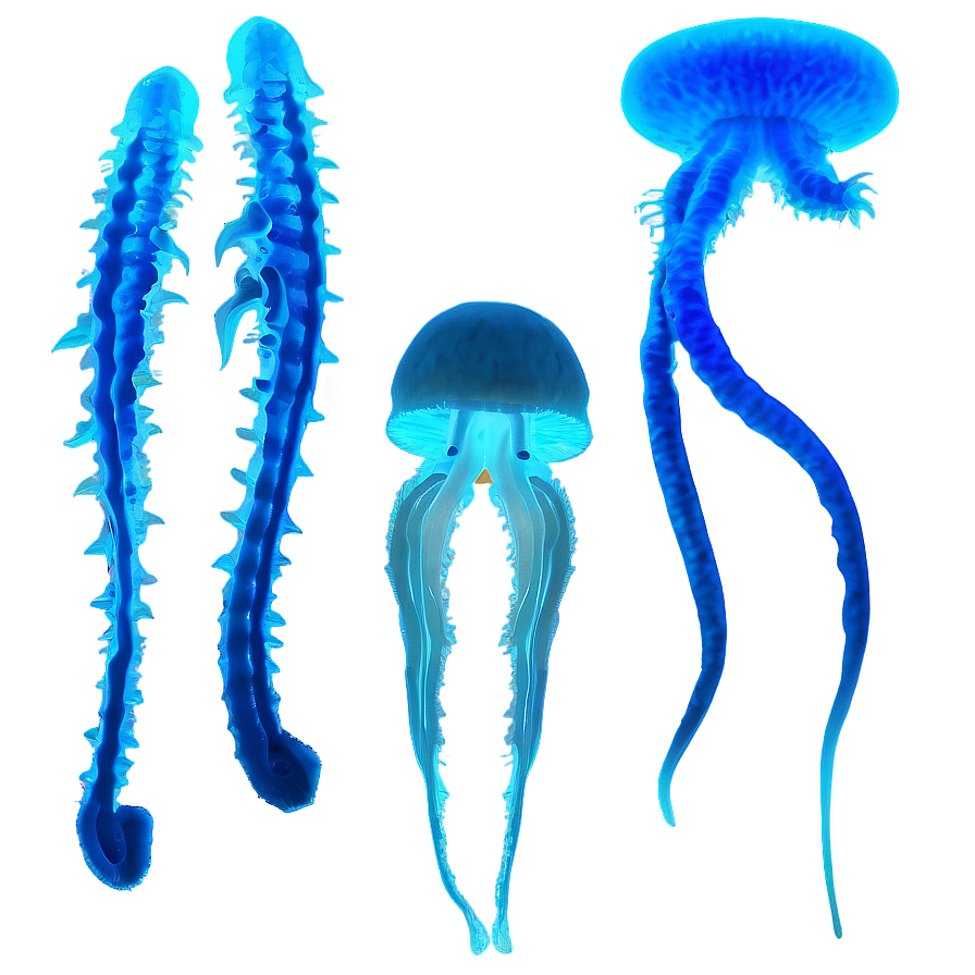 Bioluminescence In Marine Life Png Fpe70 PNG Image