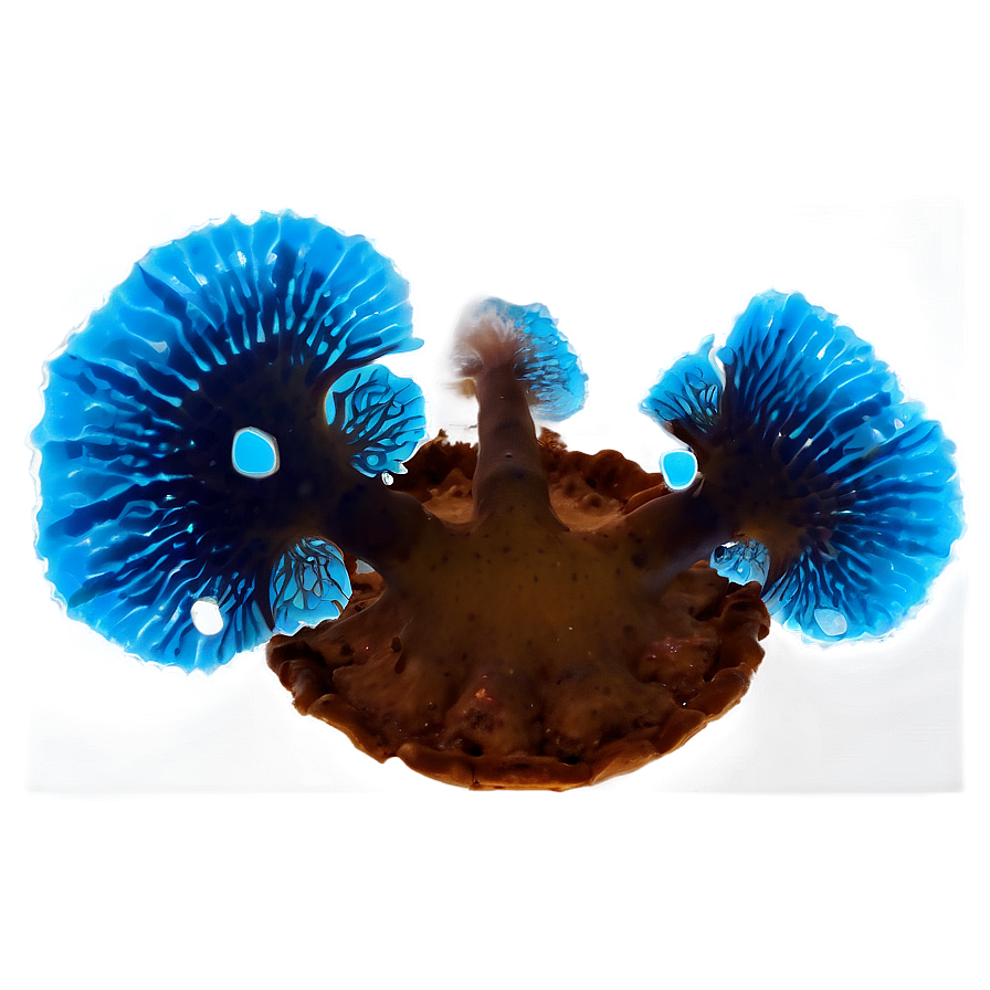 Bioluminescent Fungus Png Aon7 PNG Image