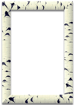 Birch Frame Black Center PNG Image