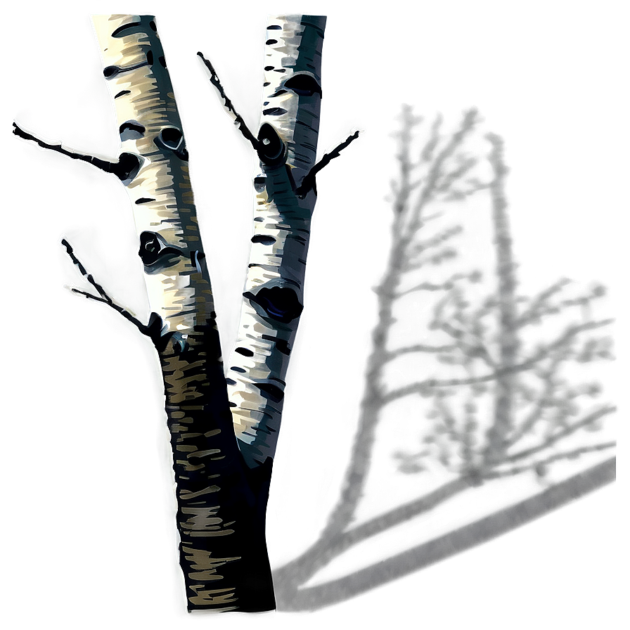 Birch Tree Shadow Png Neo PNG Image