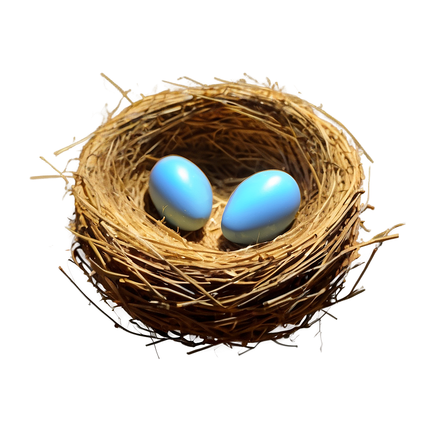 Bird Nest At Sunrise Png 91 PNG Image