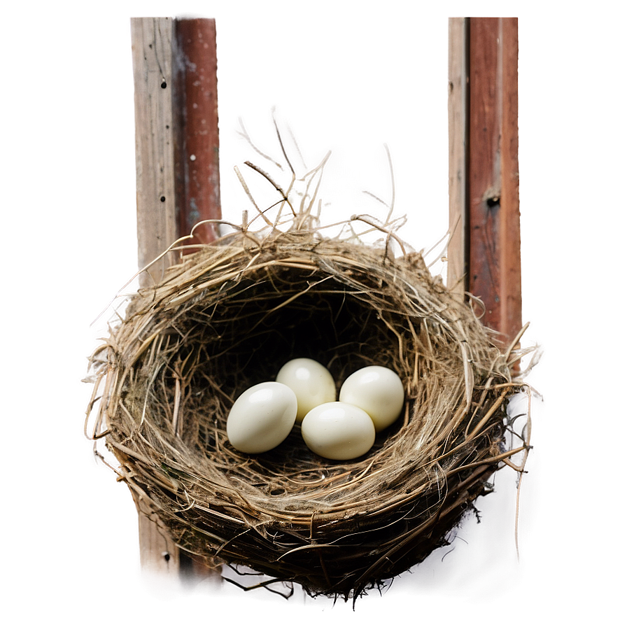 Bird Nest In Barn Png Bho PNG Image