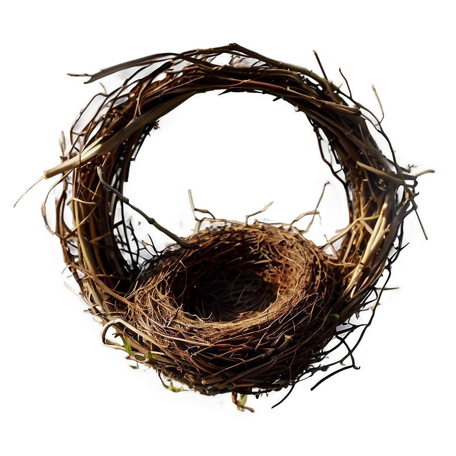 Bird Nest In Garden Png 06212024 PNG Image