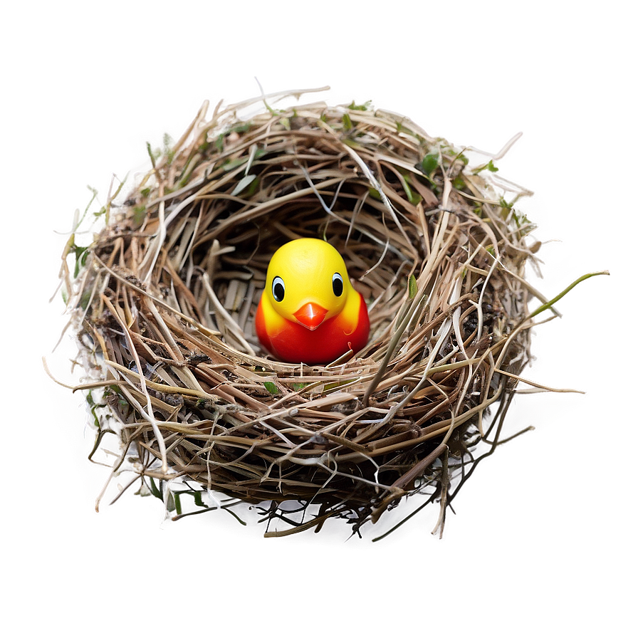 Bird Nest In Summer Png 10 PNG Image