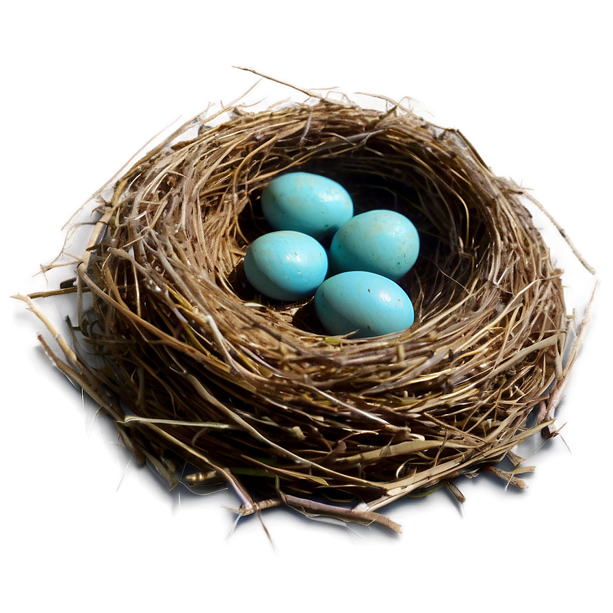 Bird Nest On Ground Png Lfm94 PNG Image