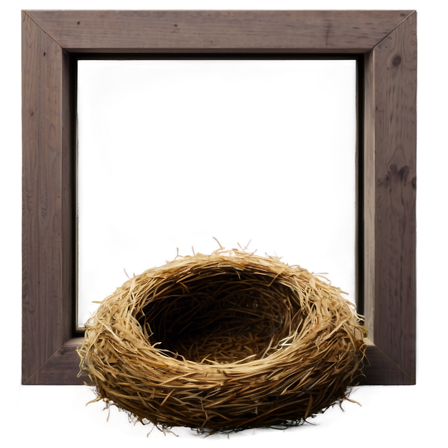 Bird Nest On Window Sill Png Lkl1 PNG Image