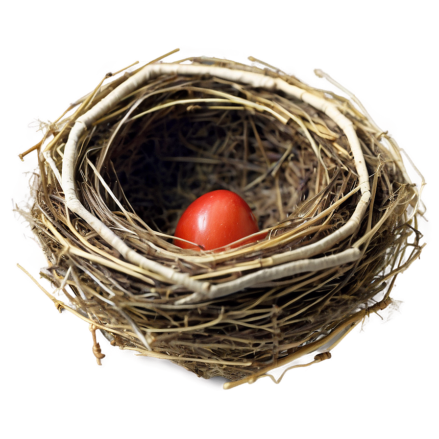 Bird Nest Top View Png Omw PNG Image