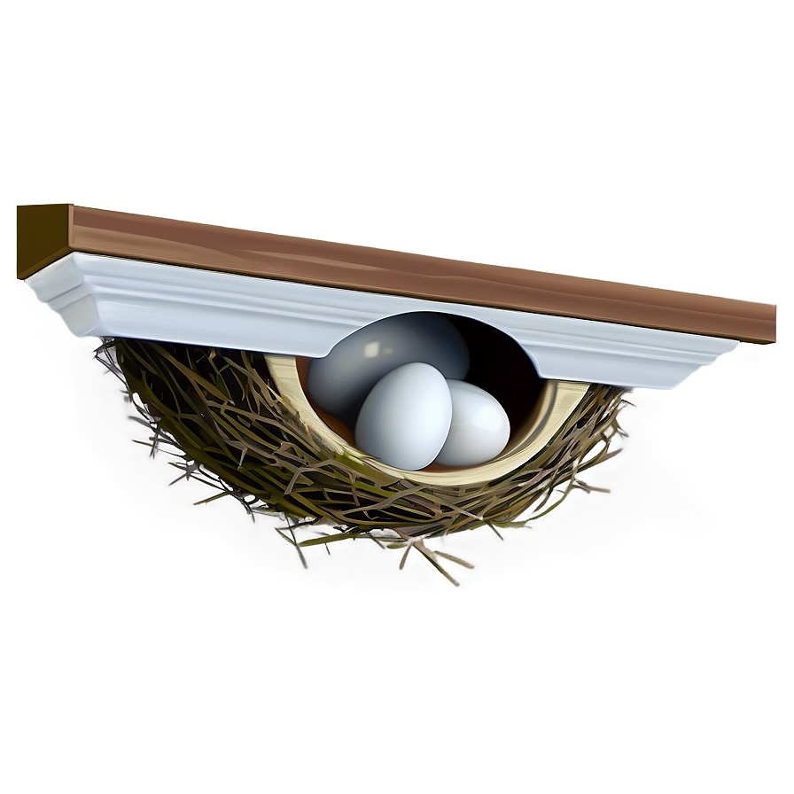 Bird Nest Under Eaves Png 06212024 PNG Image