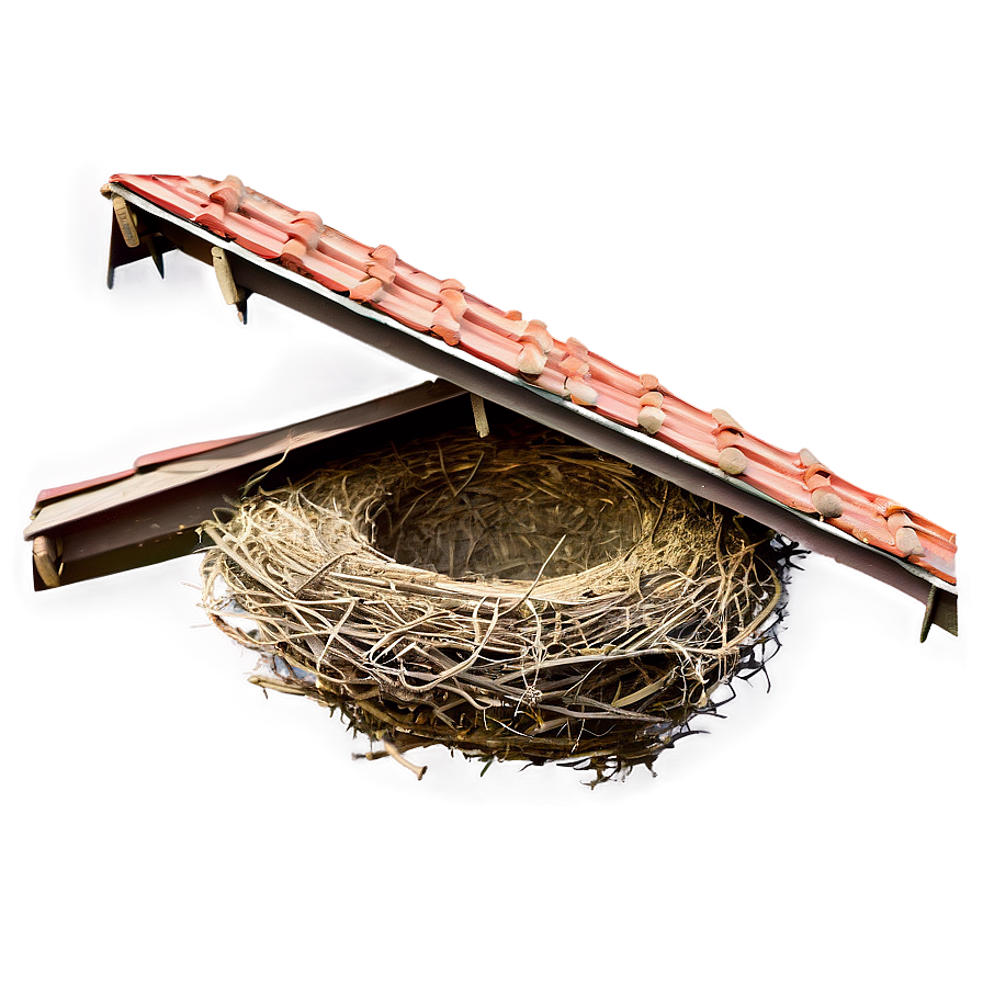 Bird Nest Under Eaves Png Edd11 PNG Image