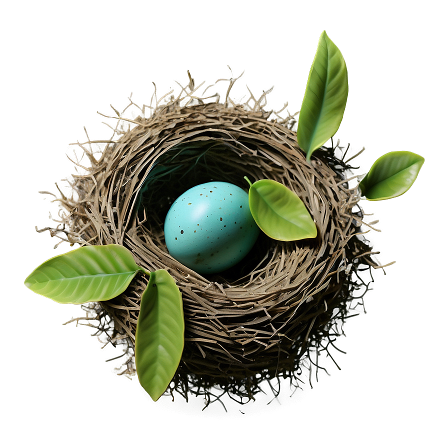 Bird Nest With Leaves Png 72 PNG Image