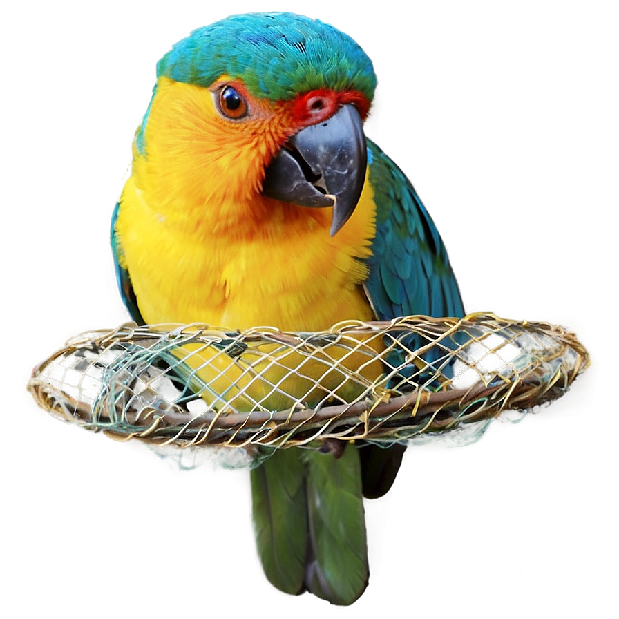 Bird Netting Png Ngg PNG Image