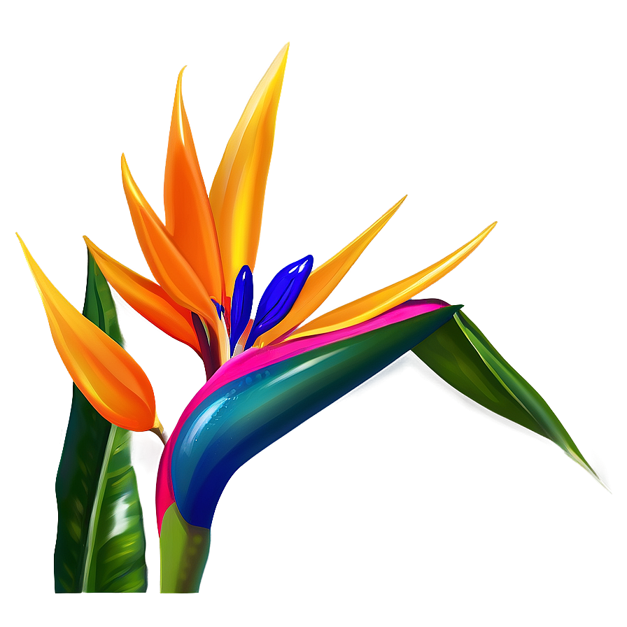 Bird Of Paradise Decoration Png 23 PNG Image