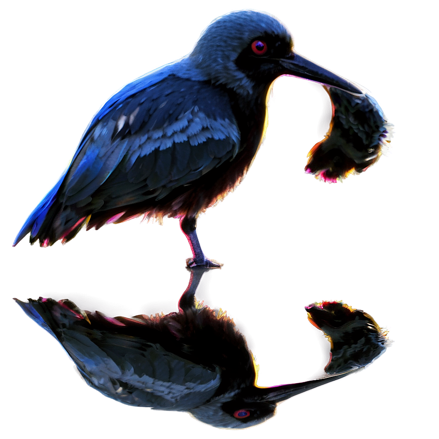 Bird Reflection Png Xgj53 PNG Image