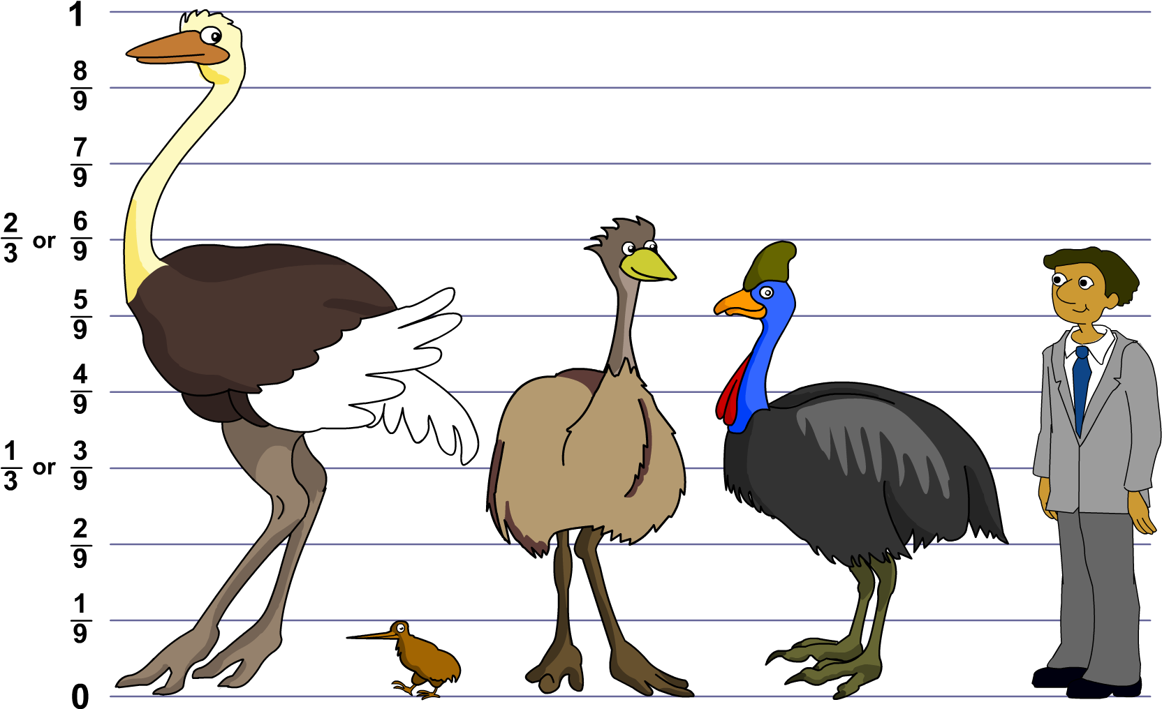 Bird Size Comparison Chart PNG Image