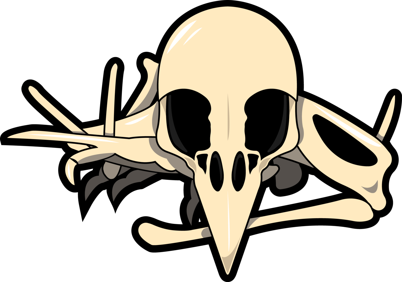 Bird Skull Illustration PNG Image