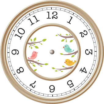 Bird Themed Wall Clock PNG Image