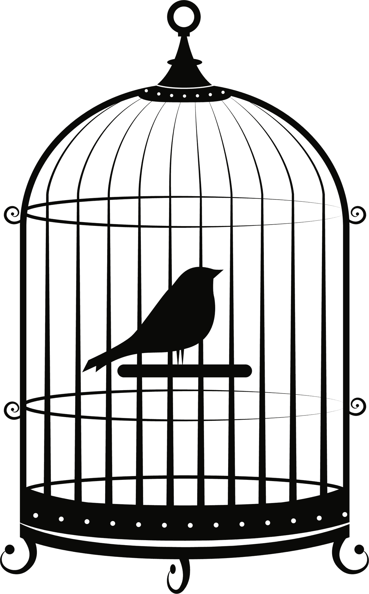 Birdin Cage Silhouette PNG Image