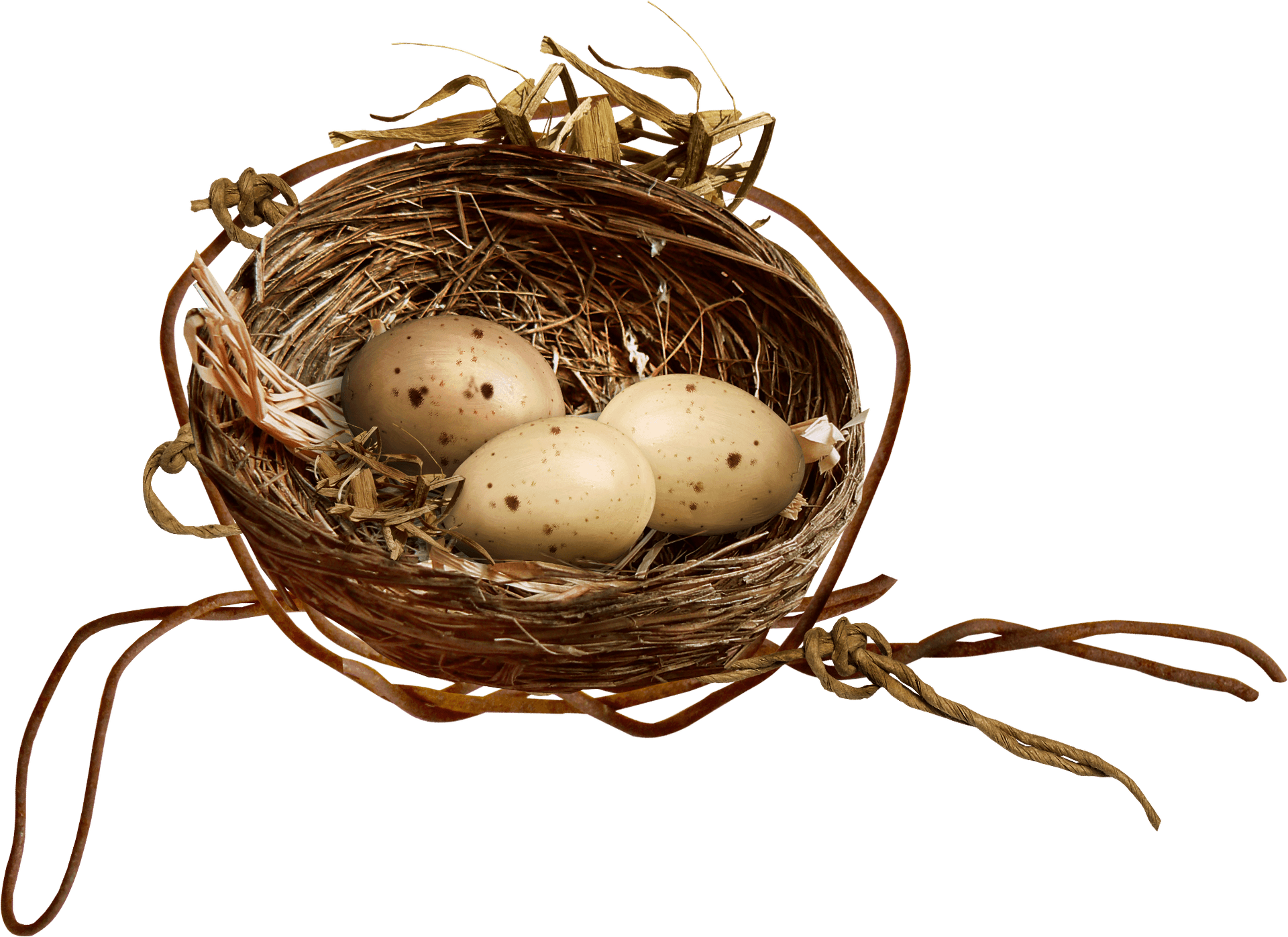 Birds Nestwith Eggs.png PNG Image