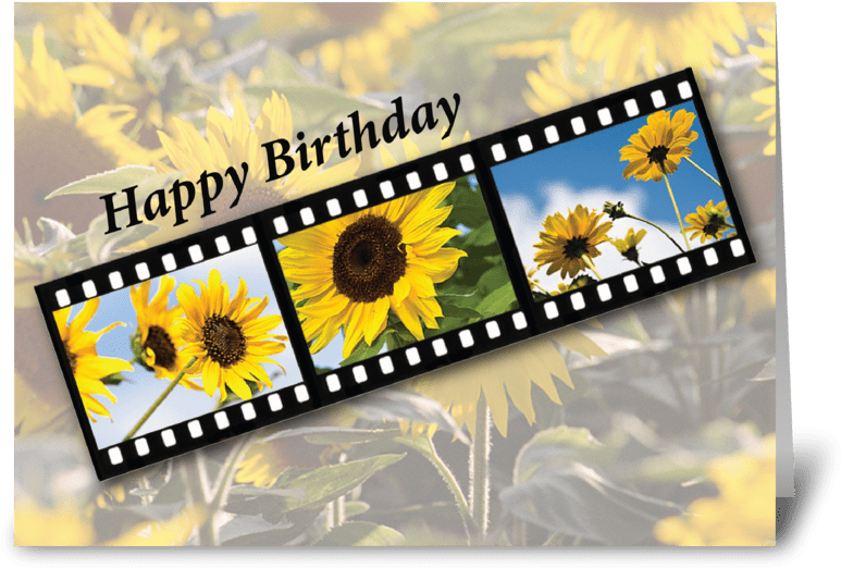 Birthday Greetings Filmstripwith Sunflowers PNG Image