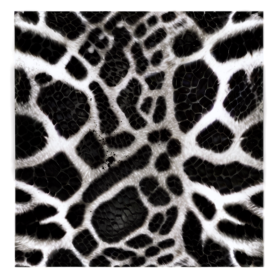 Black And White Animal Print Png 06252024 PNG Image