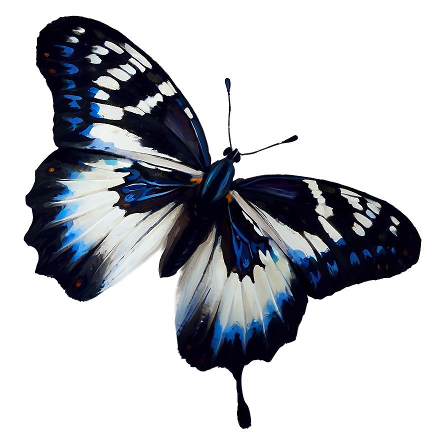 Black And White Butterfly Png Odd86 PNG Image