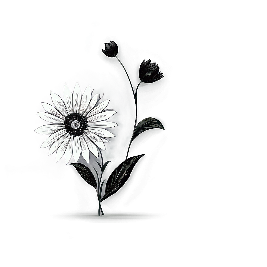 Black And White Flower Drawing Png Uno PNG Image