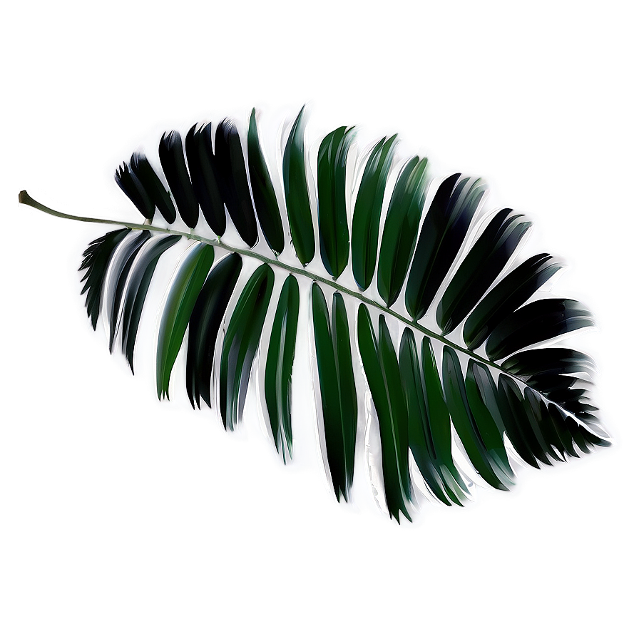 Black And White Palm Leaves Png Qbh93 PNG Image