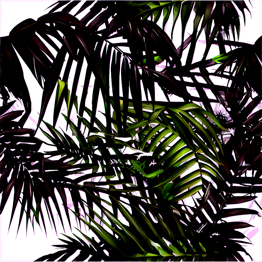 Black And White Palm Leaves Png Xil40 PNG Image