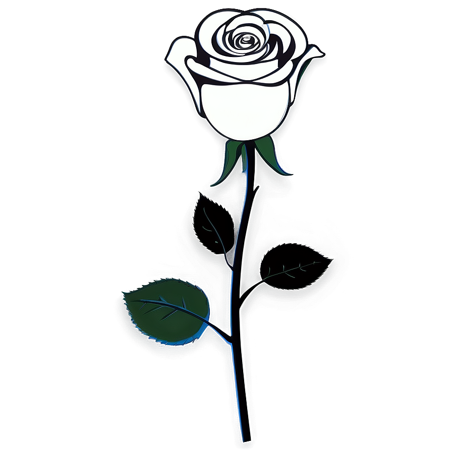 Black And White Rose Art Png 06132024 PNG Image