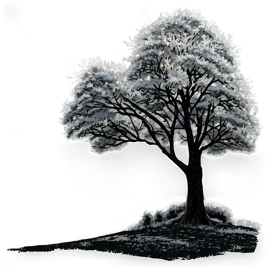 Black And White Trees Scenery Png 1 PNG Image